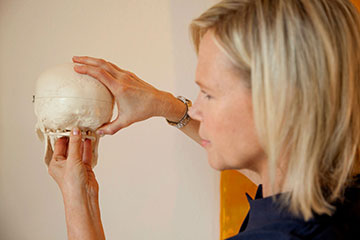 The atlas vertebra